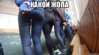 какои жопа 
