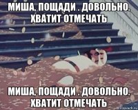 миша, пощади . довольно. хватит отмечать миша, пощади . довольно. хватит отмечать