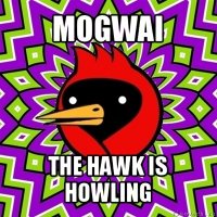 mogwai the hawk is howling