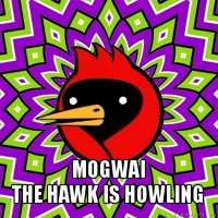  mogwai
the hawk is howling
