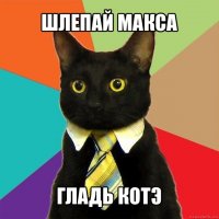 шлепай макса гладь котэ