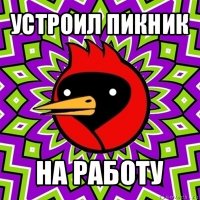 устроил пикник на работу