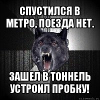 спустился в метро, поезда нет. зашел в тоннель устроил пробку!