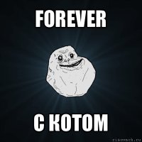 forever с котом