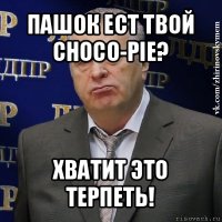 пашок ест твой choco-pie? хватит это терпеть!