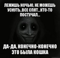 лежишь ночью, не можешь уснуть..все спят...кто-то постучал... да-да, конечно-конечно это была кошка