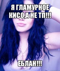 я гламурное кисо,а не тп!!! еблан!!!