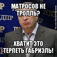 матросов не тролль? хватит это терпеть габриэль!