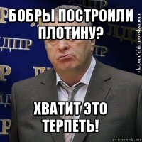 бобры построили плотину? хватит это терпеть!