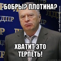 бобры? плотина? хватит это терпеть!