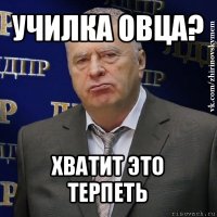 училка овца? хватит это терпеть