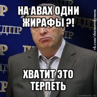 на авах одни жирафы ?! хватит это терпеть