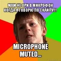 мам не ори в микрофон когда я говорю по скайпу!!! microphone muted...