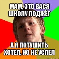 мам, это вася школу поджёг а я потушить хотел, но не успел