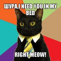 шура,i need you in my bed right meow!