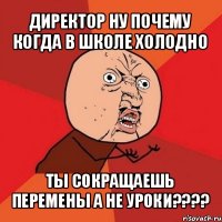 директор ну почему когда в школе холодно ты сокращаешь перемены а не уроки???