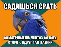 садишься срать осматриваешь унитаз со всех сторон, вдруг там пауки?