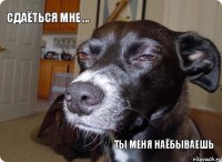 сдаёться мне ... ты меня наёбываешь