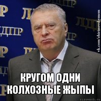  кругом одни колхозные жыпы