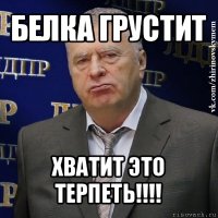 белка грустит хватит это терпеть!!!