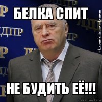 белка спит не будить её!!!