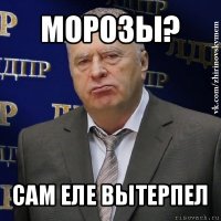 морозы? сам еле вытерпел