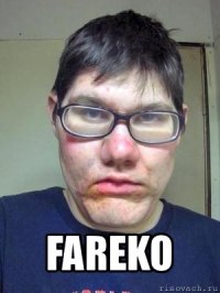  fareko