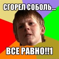 сгорел соболь... все равно!!1