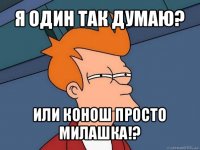 я один так думаю? или конош просто милашка!?