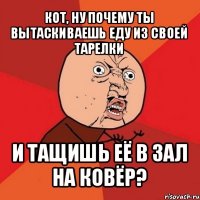 кот, ну почему ты вытаскиваешь еду из своей тарелки и тащишь её в зал на ковёр?