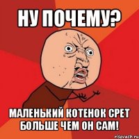 ну почему? маленький котенок срет больше чем он сам!