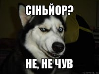 Сіньйор? не, не чув