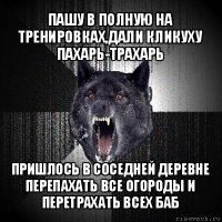 пашу в полную на тренировках,дали кликуху пахарь-трахарь пришлось в соседней деревне перепахать все огороды и перетрахать всех баб