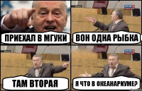 Приехал В МГУКИ Вон одна рыбка Там вторая Я что в океанариуме?