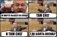 30 марта вышел на улицу там снег и там снег где блять весна?