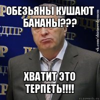 обезьяны кушают бананы??? хватит это терпеть!!!