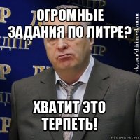 огромные задания по литре? хватит это терпеть!