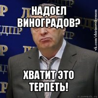 надоел виноградов? хватит это терпеть!