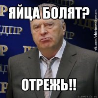 яйца болят? отрежь!!