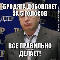 бродяга добовляет за 5 голосов все правильно делает!