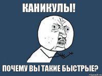 каникулы! почему вы такие быстрые?