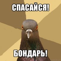 спасайся! бондарь!