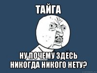 тайга ну почему здесь никогда никого нету?