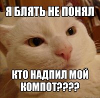 я блять не понял кто надпил мой компот???