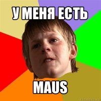 у меня есть maus