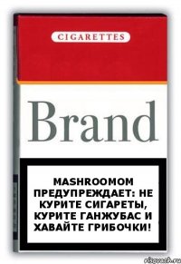 mashroomom предупреждает: не курите сигареты, курите ганжубас и хавайте грибочки!