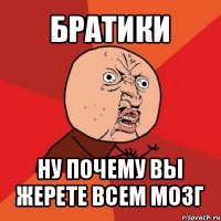 братики ну почему вы жерете всем мозг