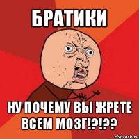 братики ну почему вы жрете всем мозг!?!??