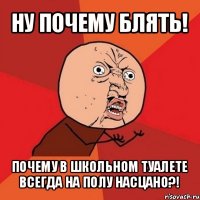 ну почему блять! почему в школьном туалете всегда на полу насцано?!