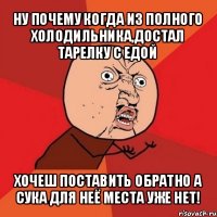 ну почему когда из полного холодильника,достал тарелку с едой хочеш поставить обратно а сука для неё места уже нет!